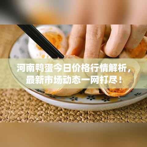 河南鸭蛋今日价格行情解析,最新市场动态一网打尽!