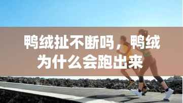 举世无双 第2页