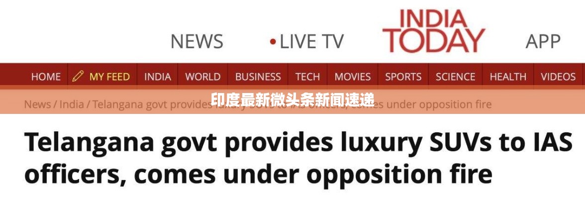 虫蚀鸟步 第2页