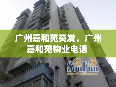 广州嘉和苑突发,广州嘉和苑物业电话