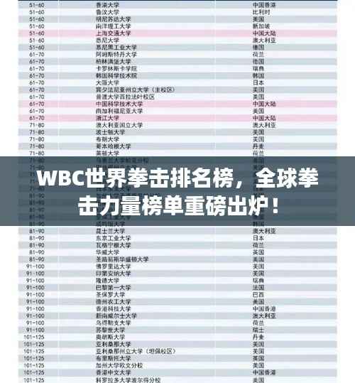 WBC世界拳击排名榜，全球拳击力量榜单重磅出炉！