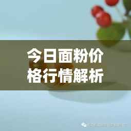今日面粉价格行情解析,最新市场动态一览