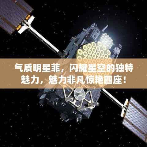 气质明星菲,闪耀星空的独特魅力,魅力非凡惊艳四座!