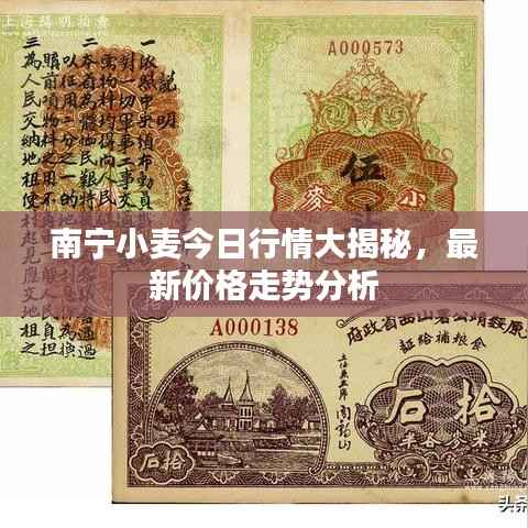 南宁小麦今日行情大揭秘,最新价格走势分析