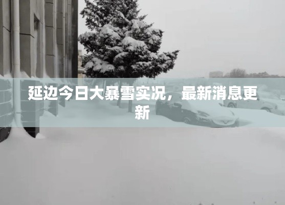 延边今日大暴雪实况,最新消息更新