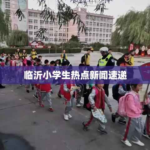 临沂小学生热点新闻速递
